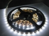 5050-Flexible-White-Non-Water-Proof-LED-Strip